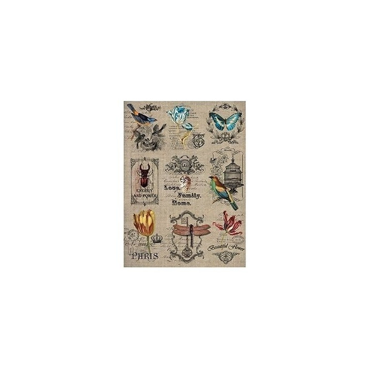 copy of 